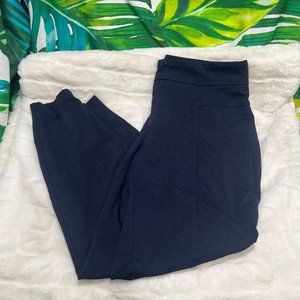 Fenn Wright Manson Women’s 14W Blue Seamed Straight Slim Office Teacher Pants